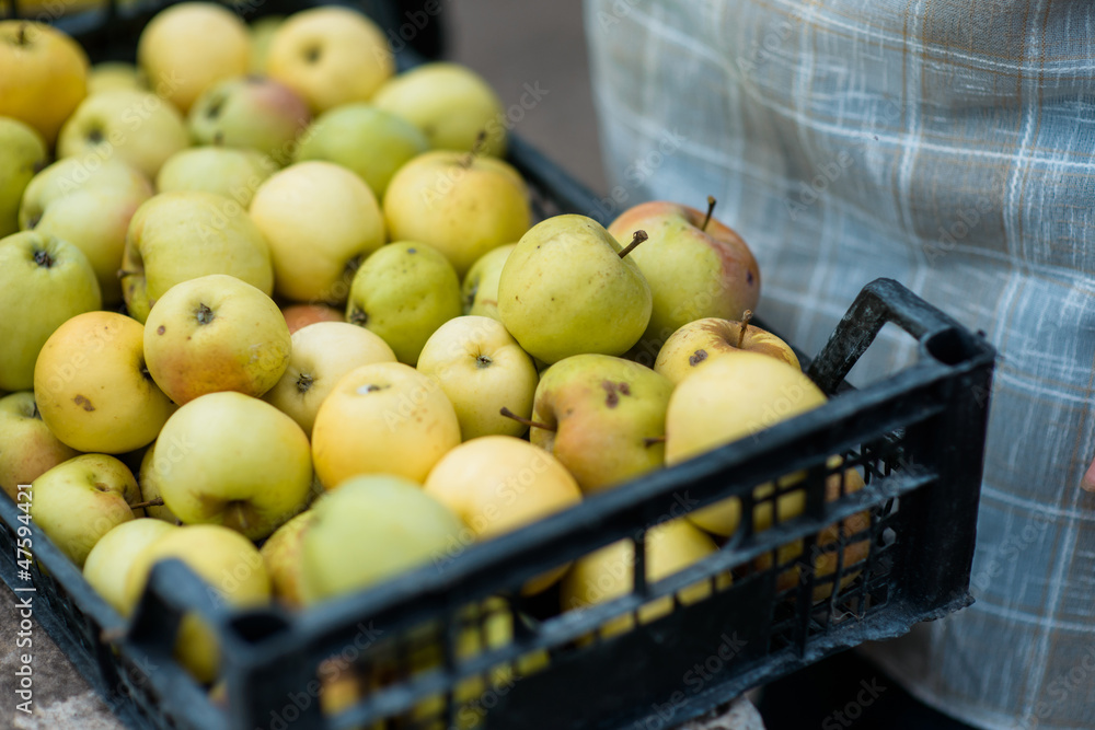 yellow apples yellow apples