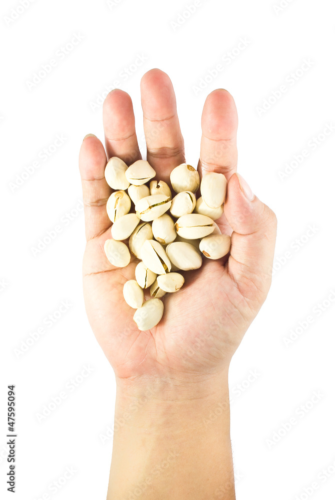 pistachio in hands isolated on white background pistachio in hands isolated on white background