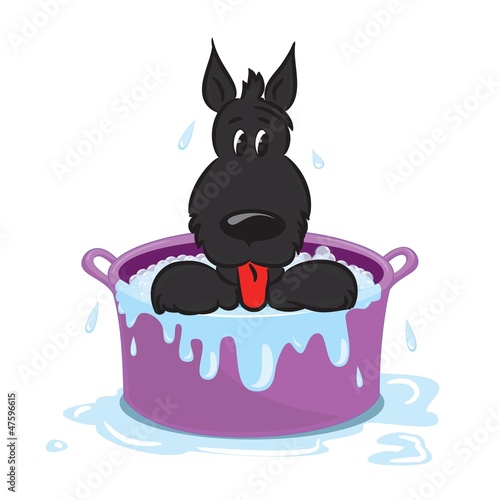 Funny puppy in the bath. Isolated on white. Vector illustration