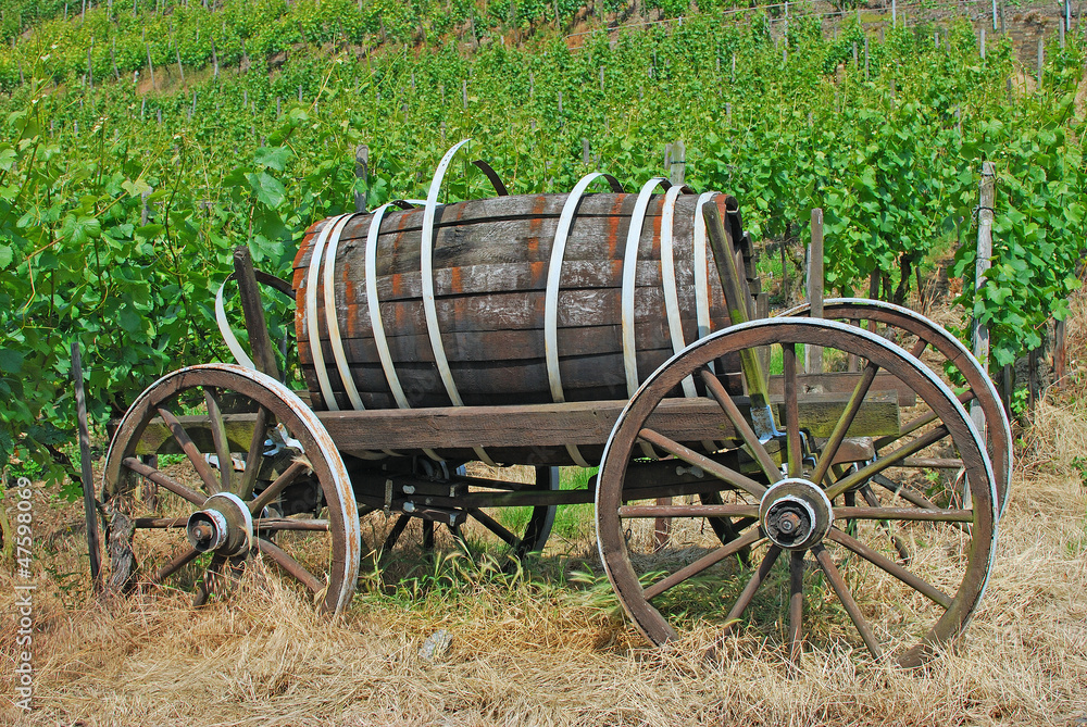 Weinwagen in den Weinbergen an der Ahr