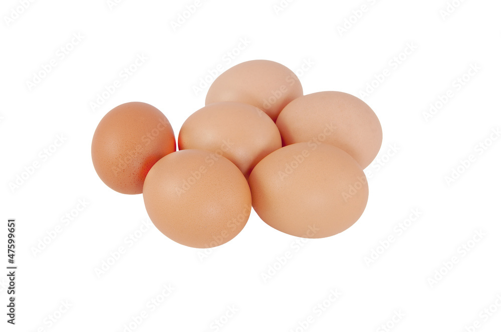 six oeufs frais isolés sur fond blanc six oeufs frais isolés sur fond blanc