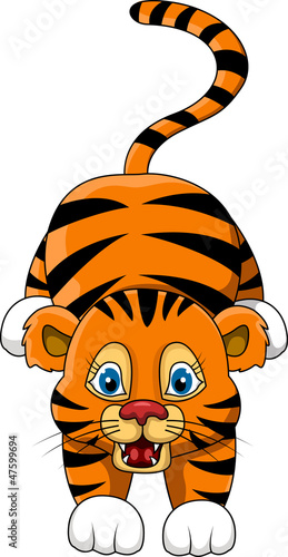 cute young tiger cartoon expresion