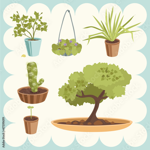 Illustration of Home Plants