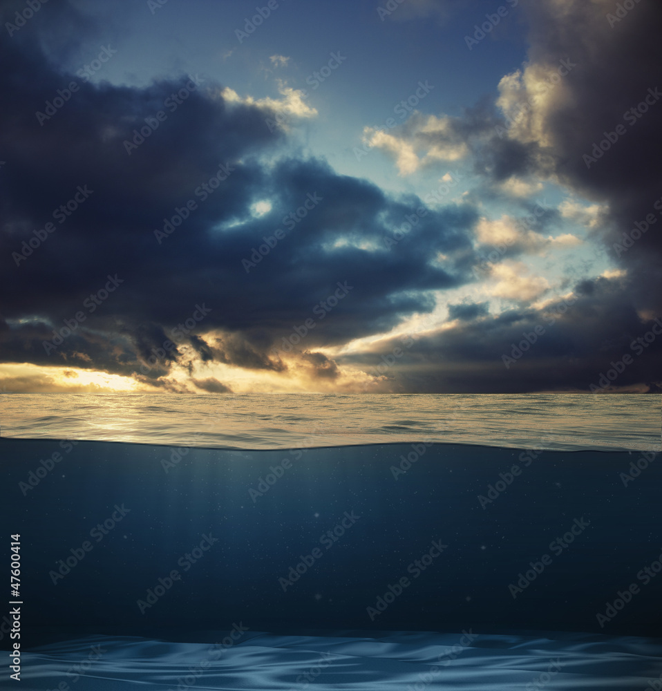 Fototapeta premium underwater scene