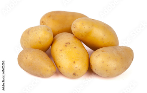 Kartoffel Freisteller I