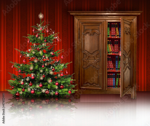 Christbaum und Bücherschrank Zuhause
