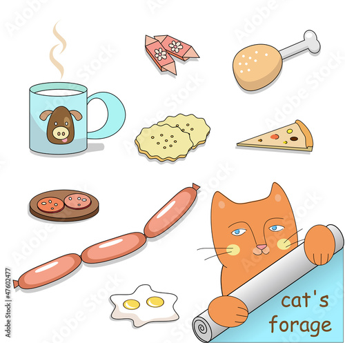 cat's forage (vector)