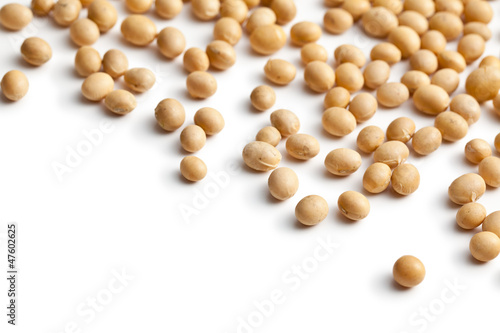 soy beans on white background