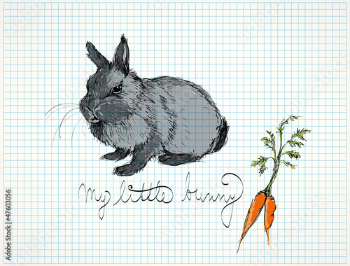My little bunny / Vector sketch of cute rabbit