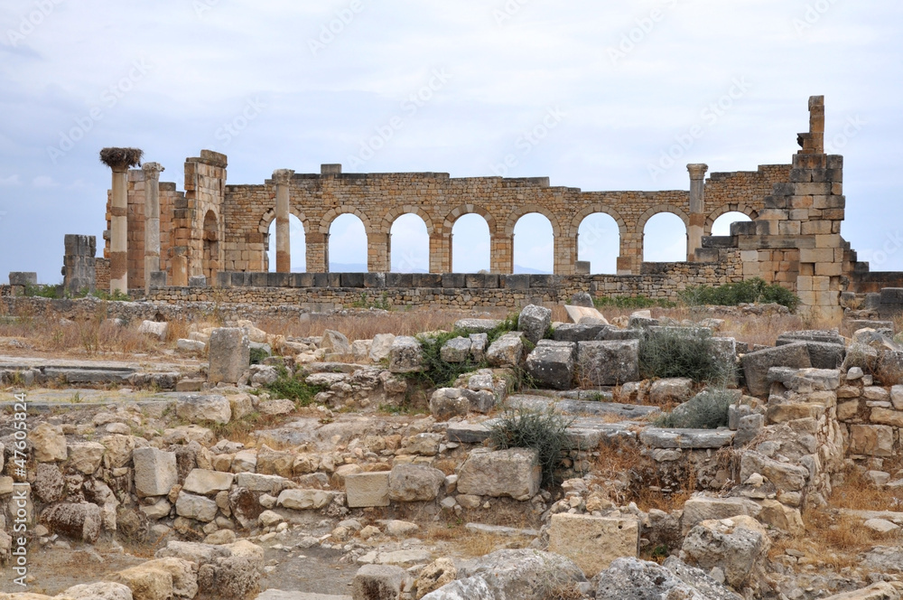 Volubilis Volubilis