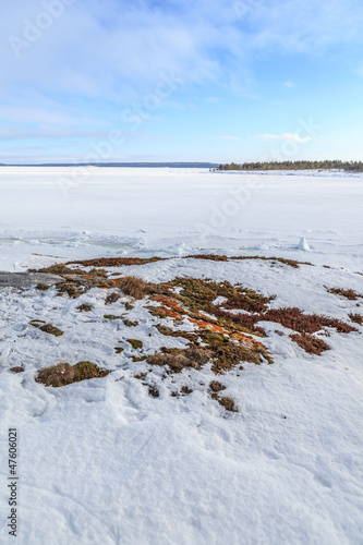 Ice and hummocks on the bank of the winter  sea.