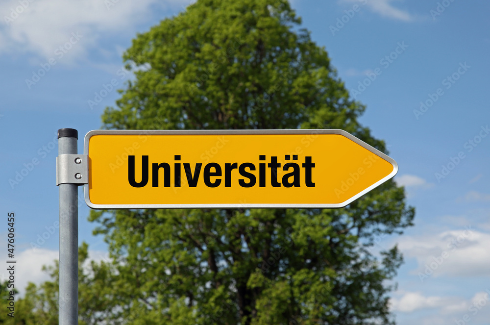 Fototapeta premium Pfeil mit Baum UNIVERSITÄT