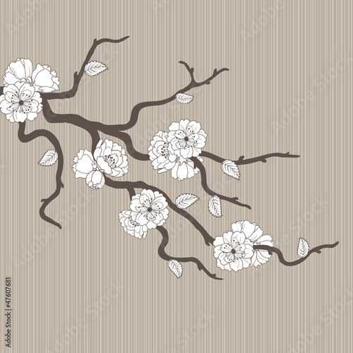 Beautiful vector pattern with sakura