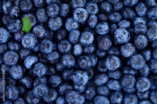 Blueberries with little green leaf