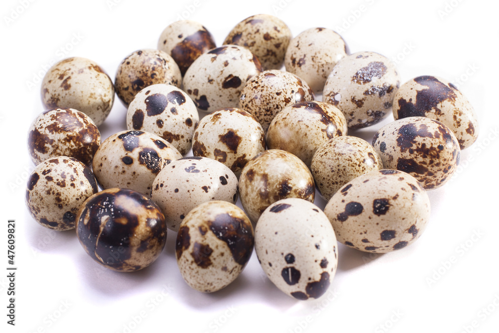 Fototapeta premium quail eggs
