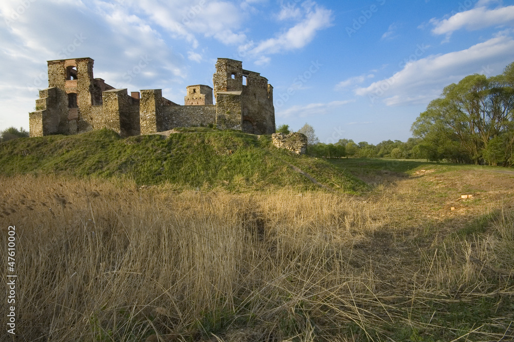 Castle in Siewierz, Poland