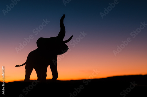 African elephant