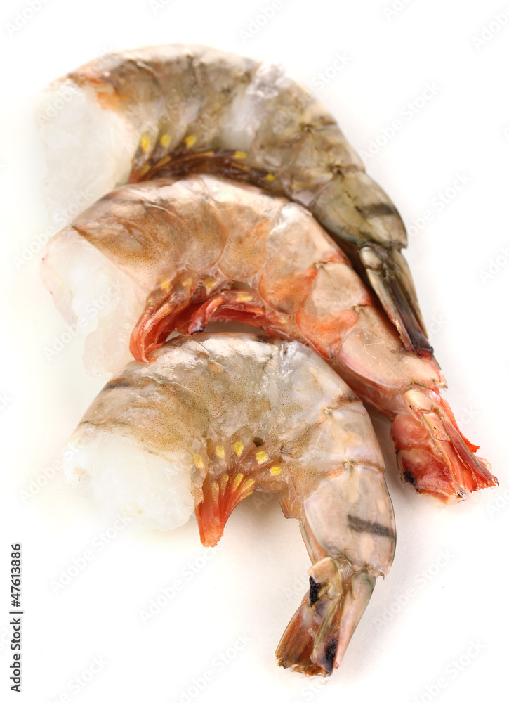 Prawns isolated on white Prawns isolated on white