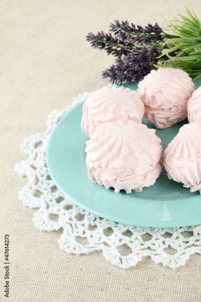 Marshmallows on color plate on light background Marshmallows on color plate on light background