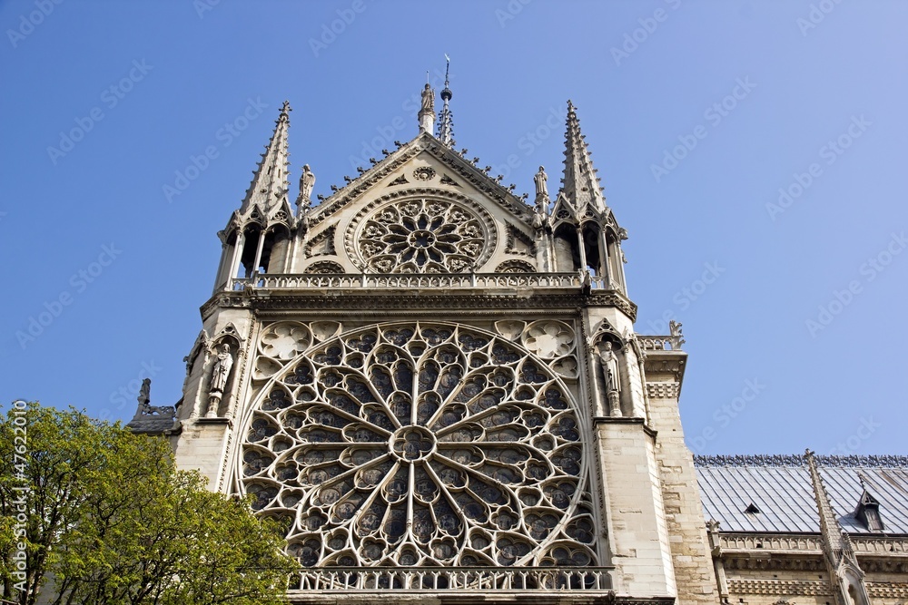 Notre Dame de Paris, rosace et végétation (Paris France)