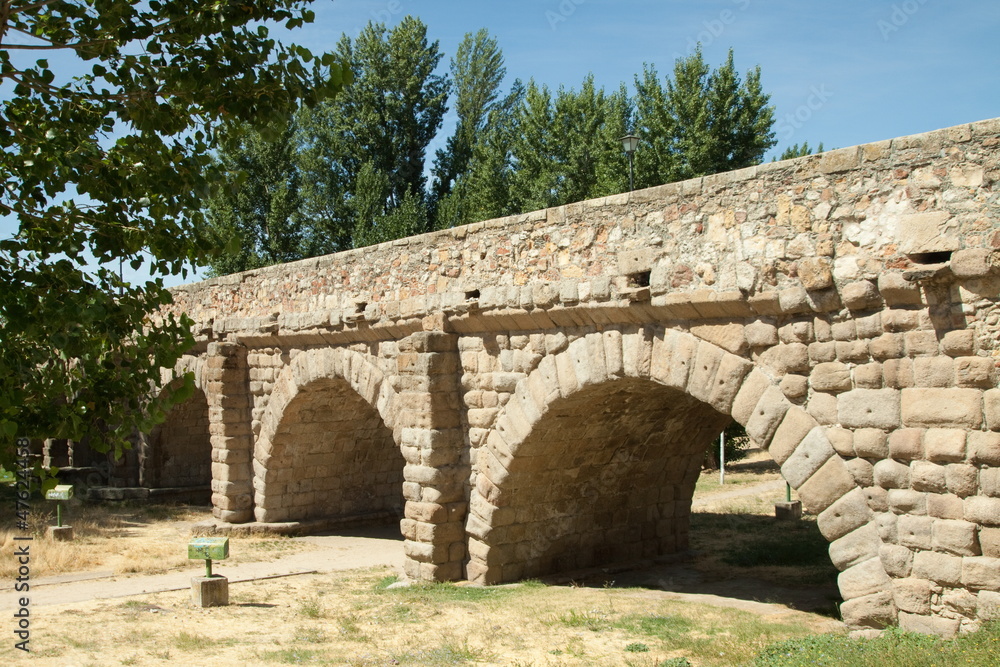 Salamanca - The Roman Bridge