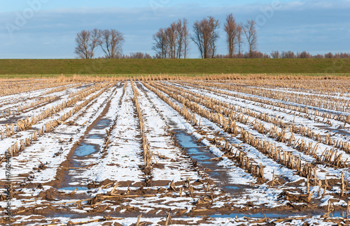 Snowy stubble field