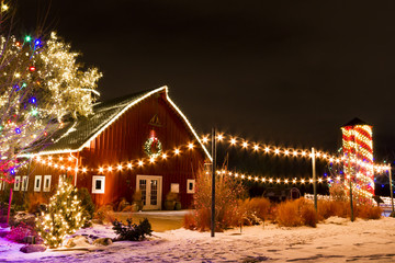 Christmas Lights