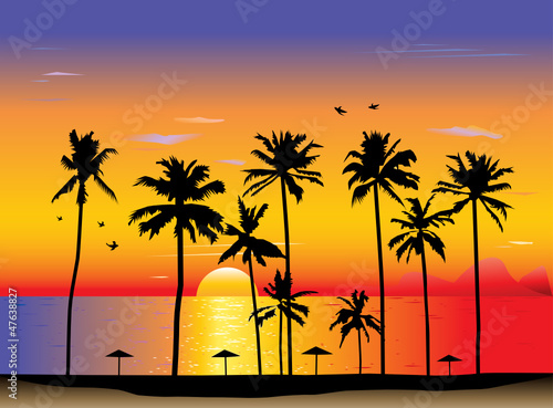 Tropical sunset or sunrise. Vector illustration