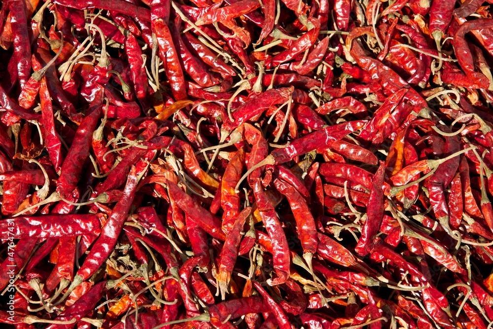 Naklejka premium Dried chilli