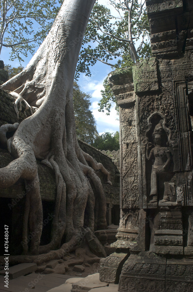 Templos de Angkor. Ta Prohm. Camboya