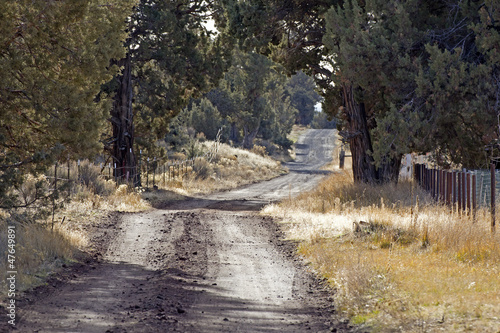 Long bumpy rural dirt road in afternoon light.