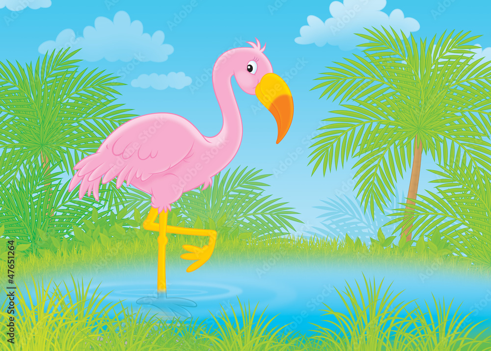 Obraz premium Pink flamingo