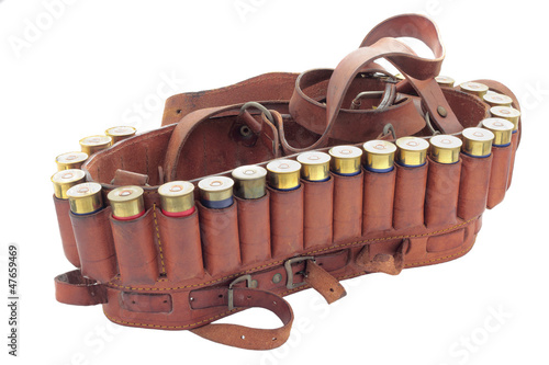 cartridge belt