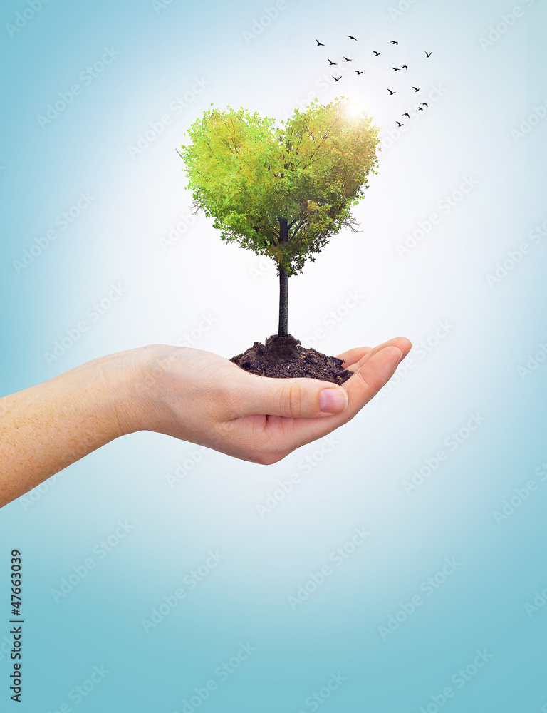 Fototapeta premium Woman's hand holding a tree heart