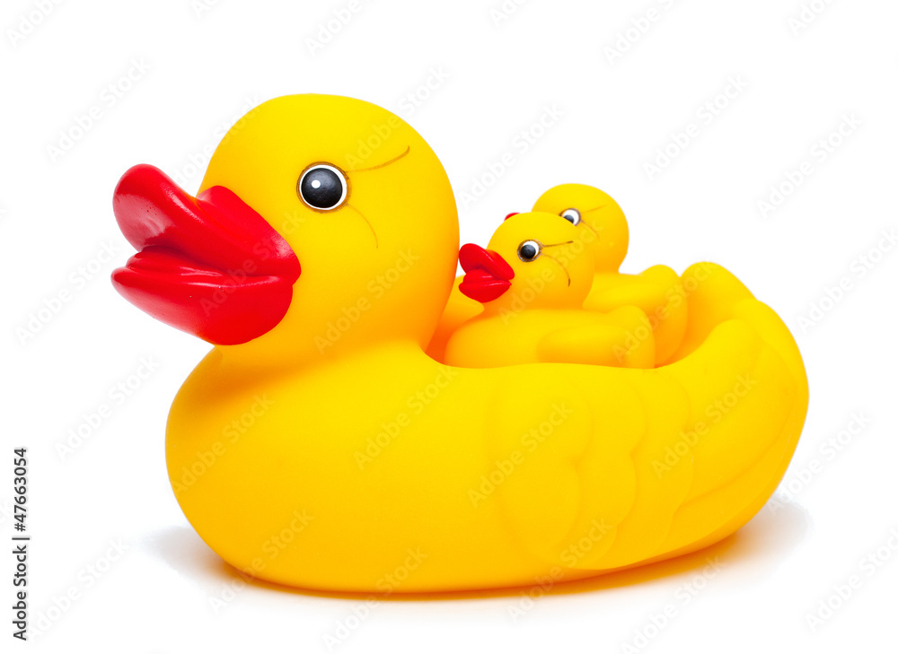 rubber duck family rubber duck family