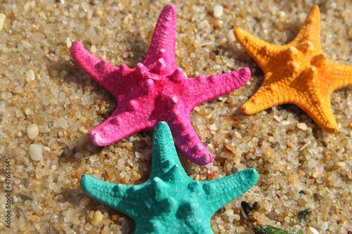 Funny vivid starfishes © Tanouchka