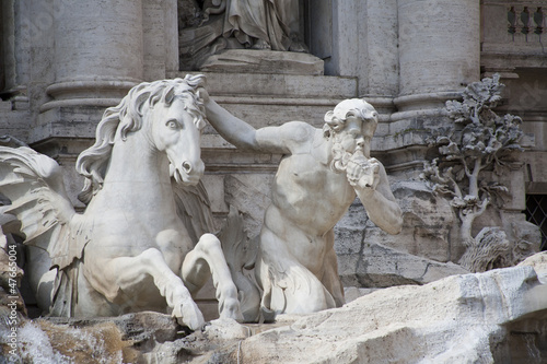 Fontana di Trevi, Particolare photo