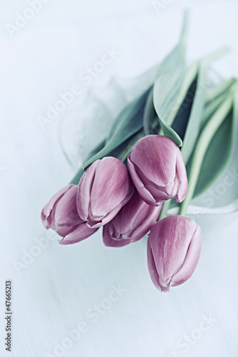 Fototapeta Naklejka Na Ścianę i Meble -  Close up of pink tulips in a bowl