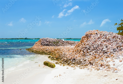 Mountains of shells on the island Los Roques photo
