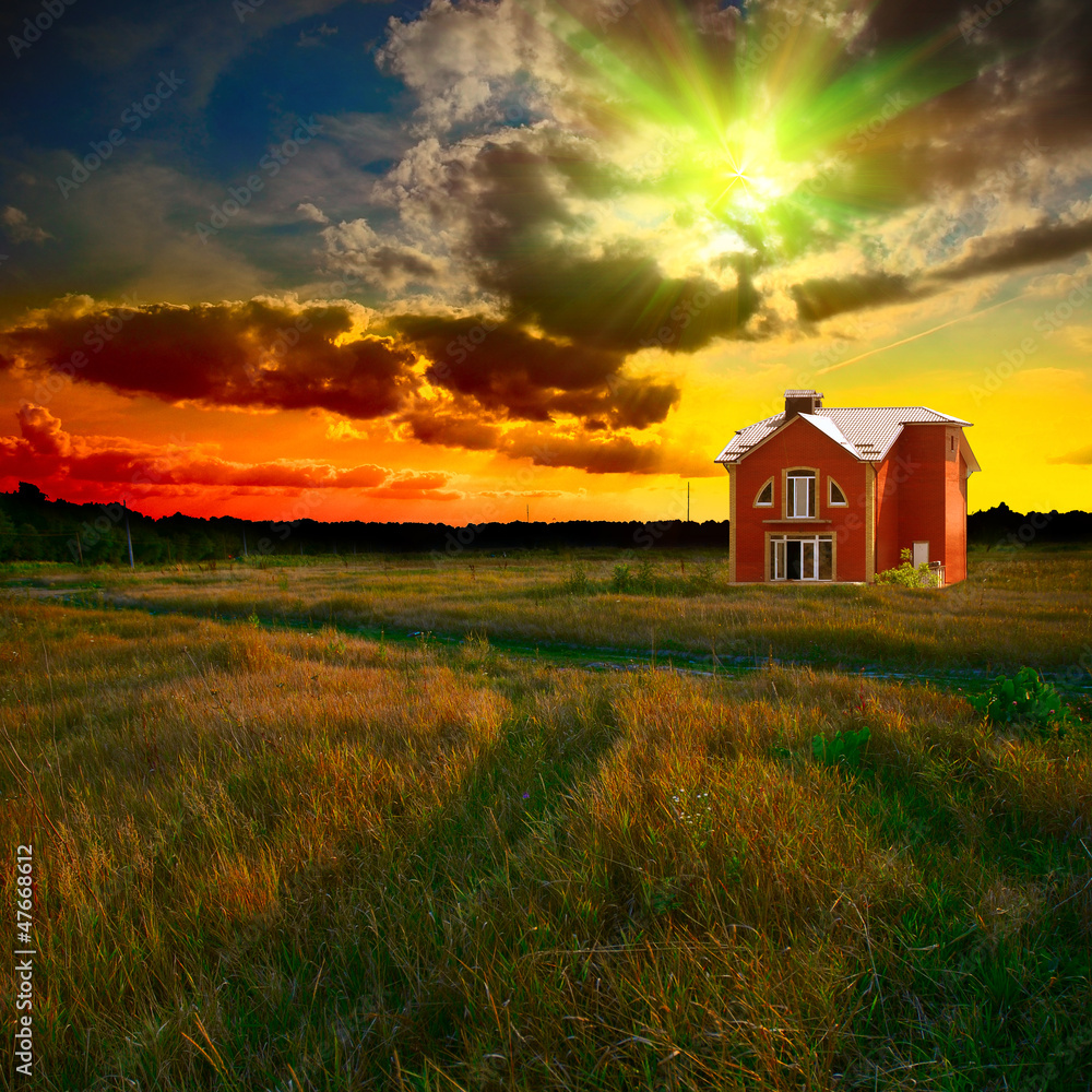 green field at sunset