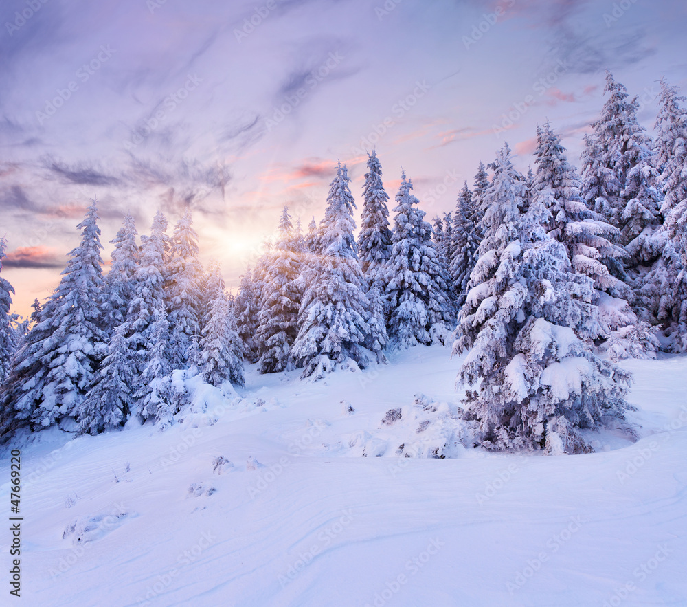 Obraz premium Beautiful winter landscape in the mountains. Sunrise