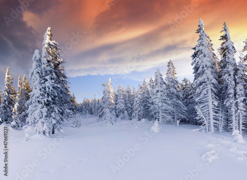 Beautiful winter sunrise in the mountains. Dramatic red sky