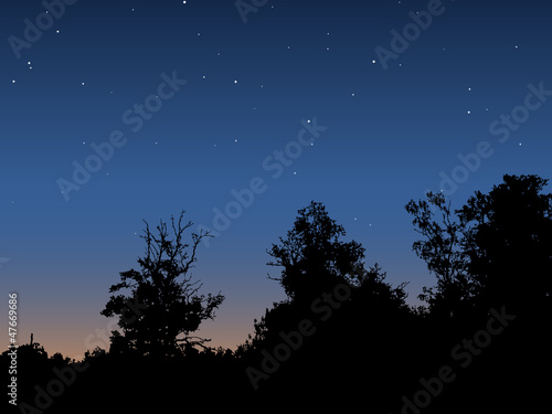 Dawn sky
