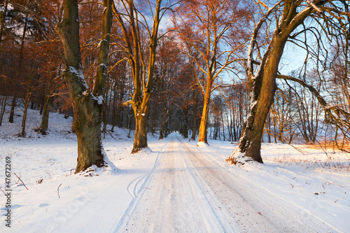 Snowy road to the forest in Poland © Patryk Kosmider