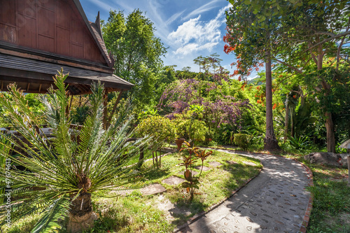 beautiful tropical garden