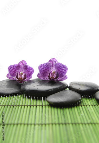 Two pink orchid and stones on green mat