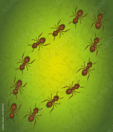 hormigas © cornecoba