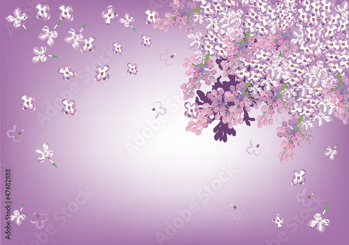 many lilac flowers illustration
