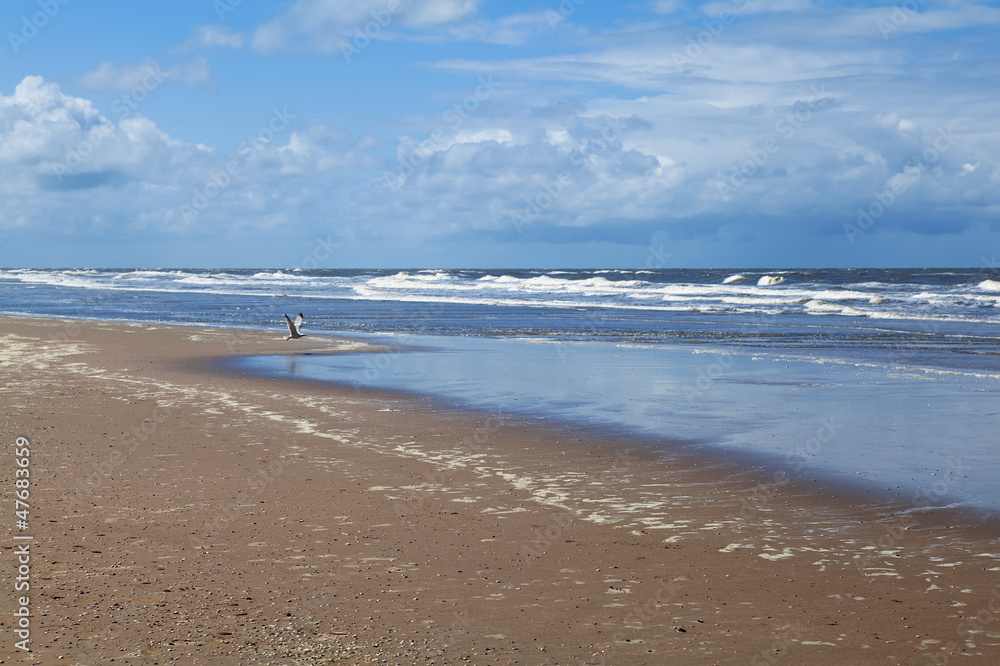 beach on North sea in Netherlands