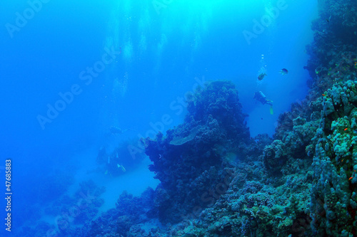 Diving in the Red Sea © underwaterstas